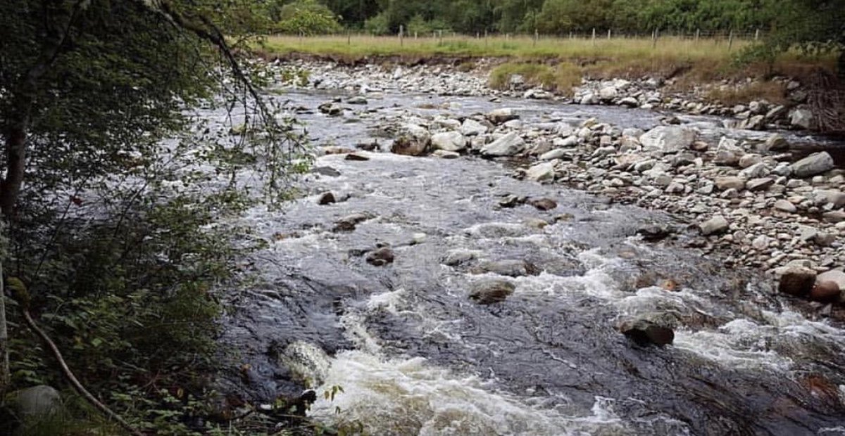 byronsgin's tweet photo. The River Spey passes right by our distillery near the start of its journey through #Speyside

#speysidedistillery #speymalt #singlemalt #scotchwhisky #instawhisky #instamalt #SPEY #gin #LoveGin #ginlovers #ByronsGin #BeinnDubh https://t.co/ceKc2UeJdq