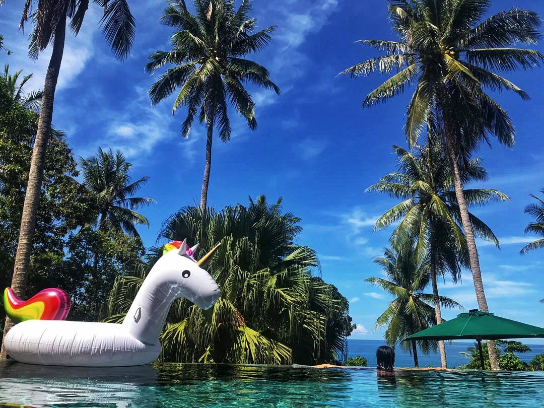 floats_kk's tweet photo. Definitely your weekend vibe with @floats_kk! 🦄

#floatskk #floatsforrent #floatsrent #unicornfloat #pizzafloat #flamingo #watermelonfloat #poolfloatforrent #sayasewa #kkcity #kotakinabalu #sabah #malaysia https://t.co/hFUVW9D8bV