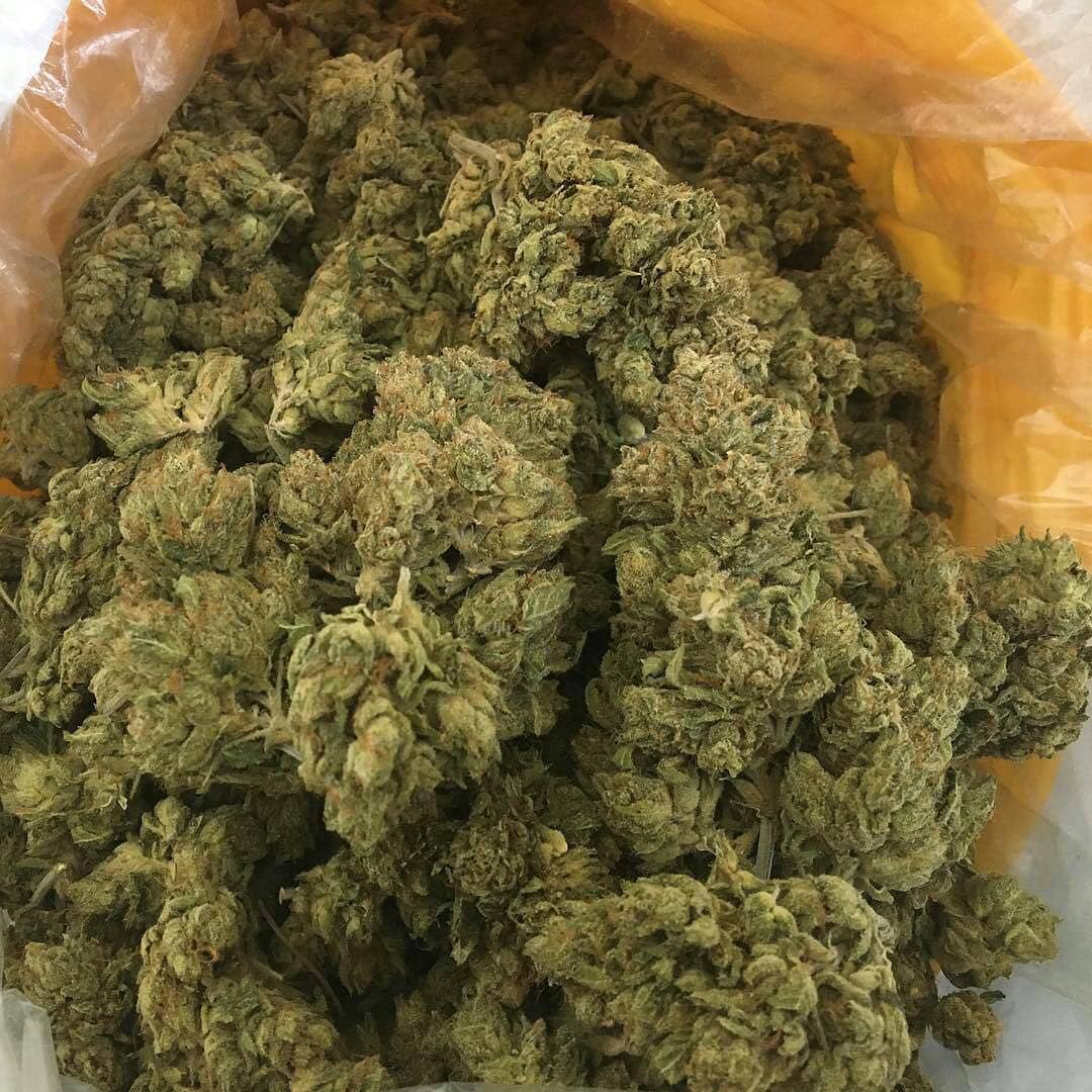 MercyJim6's tweet image. +1(347)899 9630