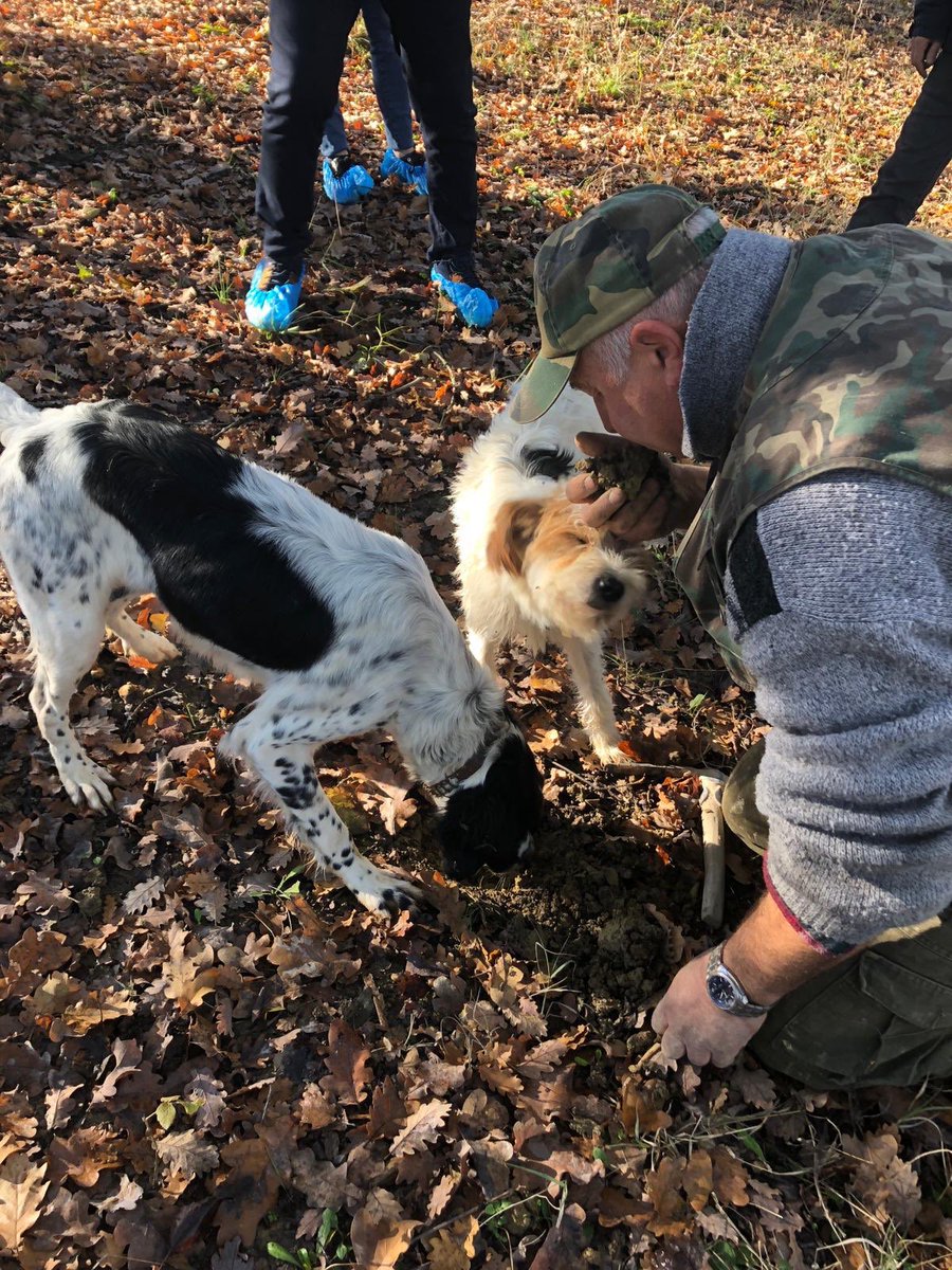 Gracias al gran Paolo Montanaro sheriff de <a href="/Tartuflanghe/">Tartuflanghe</a> hemos podido disfrutar de un gran día en el Piamonte desde empezar la mañana buscando trufa por el bosque y terminar disfrutando de su gastronomía. Un grande piacere !!!!