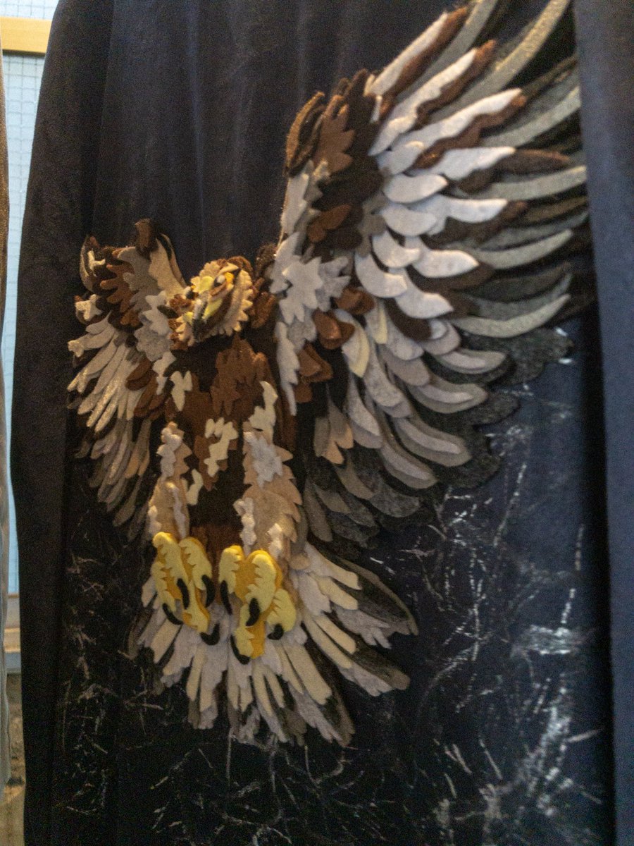 sa_to_ri__'s tweet photo. Suzz / Golden eagles OP https://t.co/f22MF3E8Zp