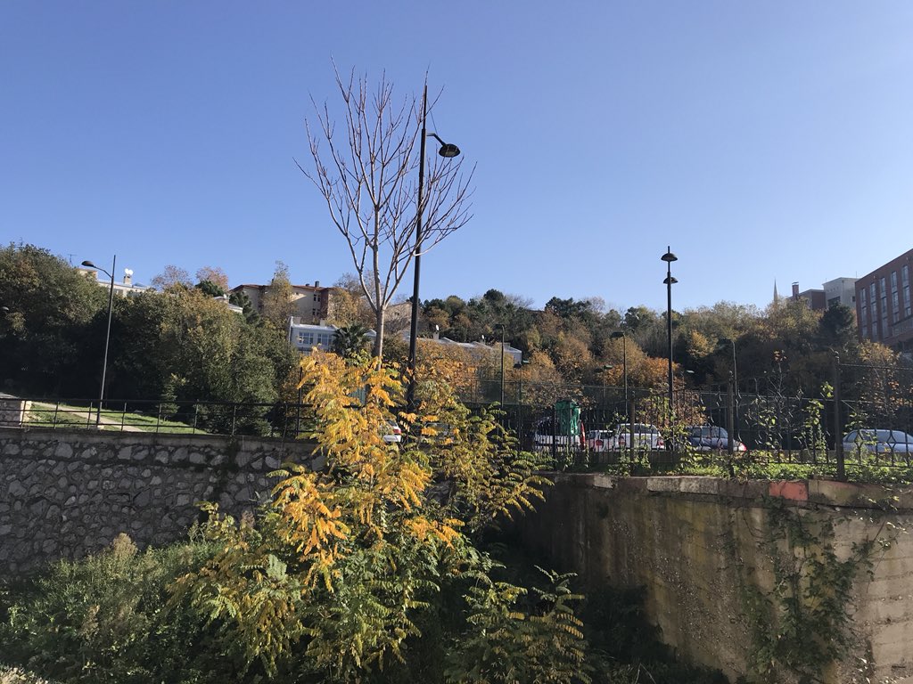 Sonbahar bu kadar güzel olurdu ancak 
#sonbahar #zonguldak #beü #kampüsehoşgeldin #sanat #doğa