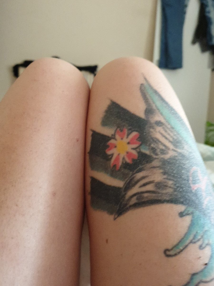 snow_couple's tweet photo. #lazysunday https://t.co/WDtCOjJxrG