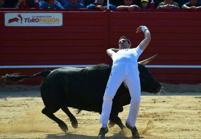 El adíos de un “torero a cuerpo limpio” Javi Olmos cuellar7.com/el-adios-de-un… .<a href="/javiolmoss/">Javi Olmos</a> <a href="/MatuteMol/">Juan José Matute Mol</a> <a href="/Arevalodepablos/">Arévalo de Pablos</a>