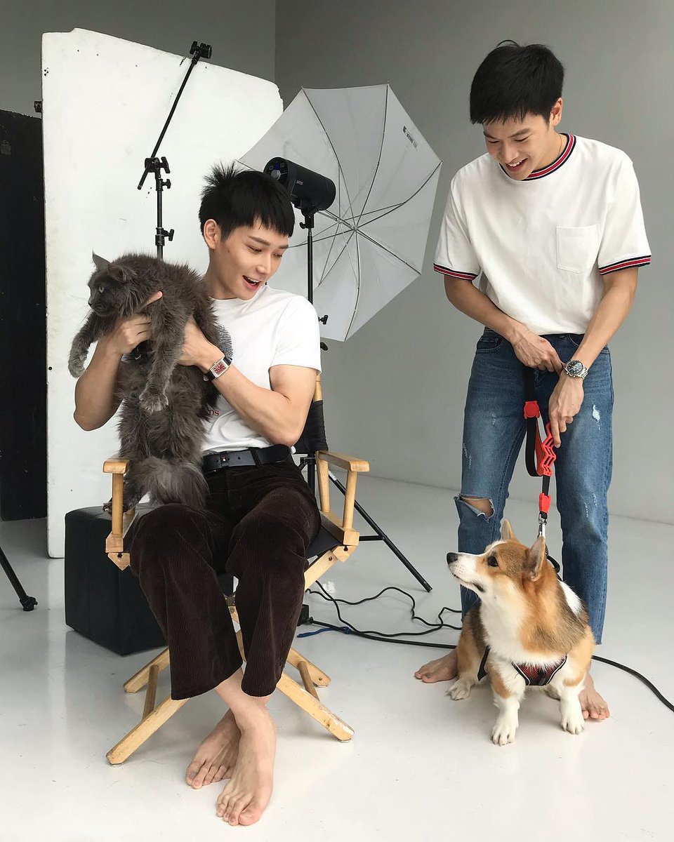 IG:marchutavuth งานหมาๆแมวๆ 🦊🐱 อย่าตีกัน!!