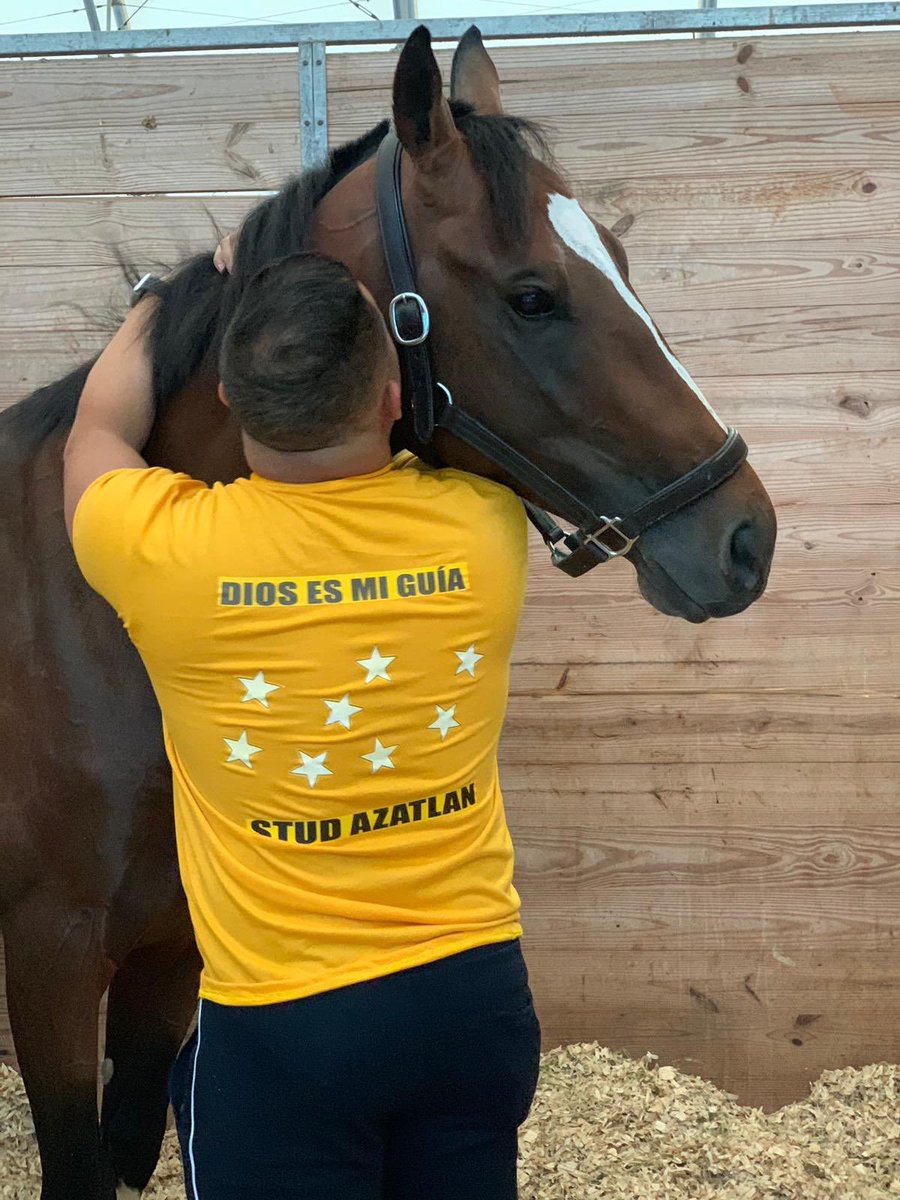 #Hipismo El galán MY RACING MATE junto a su propietario y amigo de la casa #StudAzatlan Seguimos soñando en grande #SerieHípicaDelCaribe 2018 #ClásicoDelCaribe2018 #Venezuela