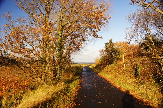 Autumn on the #TarkaTrail #devon -  just magical with all the wonderful colours and #wildlife.  Why not treat yourself this weekend to some fresh air and head on down there, with our great guide book (buy online here: bit.ly/2KpCtDY) <a href="/VisitDevon/">Visit Devon</a> @Team4Nature300 #walking