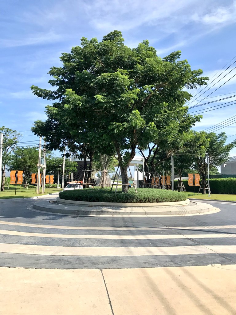 Thavisin's tweet photo. มาต่อที่ บุราสิริ บางนา ยังคงแนวคิดบรรยากาศรีสอร์ท พื้นที่สีเขียวร่มรื่น กับบรรยากาศริมน้ำที่สวยที่สุดในย่านบางนา เหมาะกับแบรนด์ภายใต้ ‘บุราสิริ’ จริงๆ ครับ #SansiriBestYearEver https://t.co/jTcAeAg55B