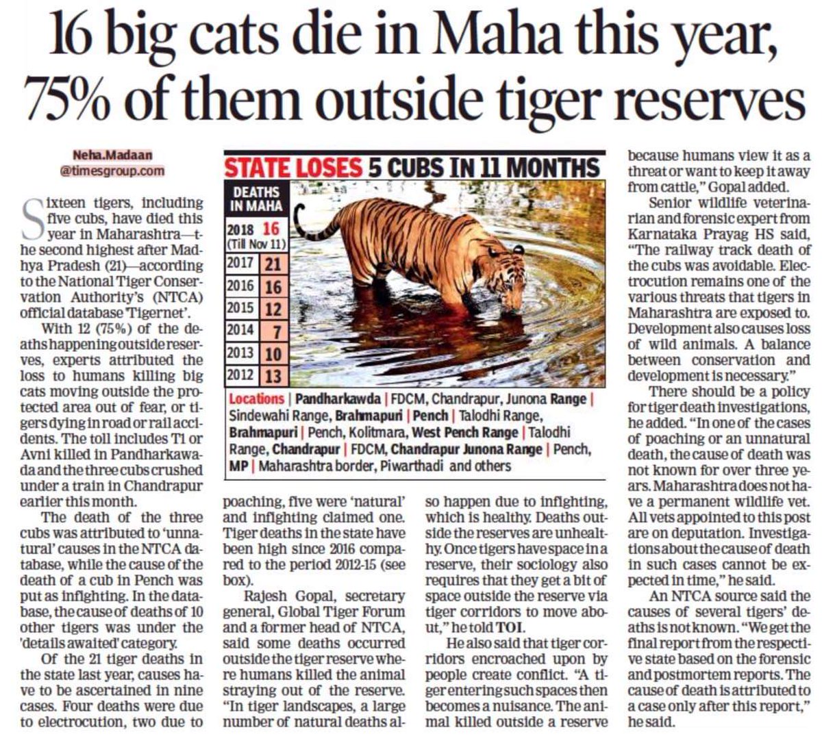 SinghSaptaparna's tweet photo. WAKE UP @narendramodi
YOU ARE LIVING IN THIS EARTH AND CANNOT DO INJUSTICE TO OTHER VOICELESS LIVING BEINGS.
#JusticeForAvni 
#SackMungantiwar 
#SaveWildlife 
#SaveForests 
#SaveYourselfModi https://t.co/OWDVSILaqM