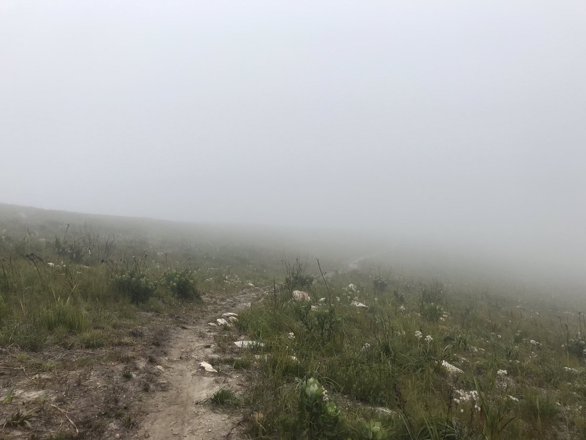 VIPA time /// Crossways Fun