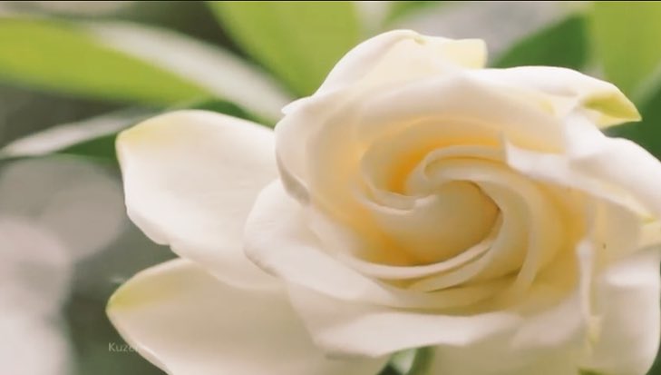 ．
涙がでるね …
あなたの 胸の内
想うと 涙がでるよ

今の私に出来ることを
ずっとずっと 考えています

ただ
元気でいて欲しい …
今夜も祈ります
．
＃大切なあなたへ
＃溢れる想い
＃祈り