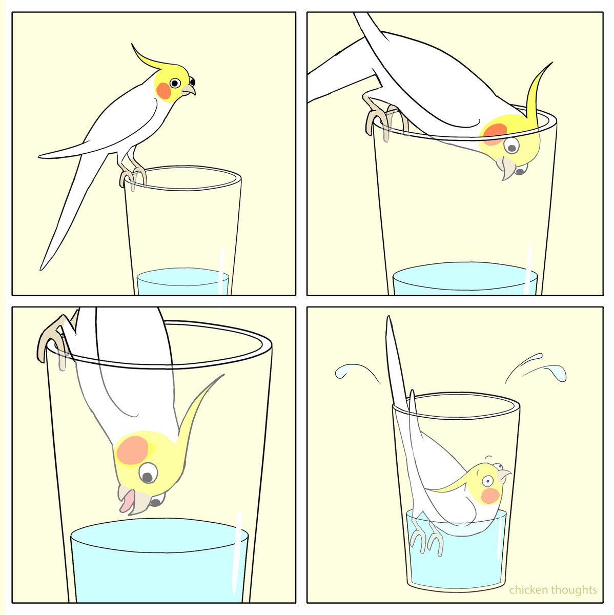 #birb 