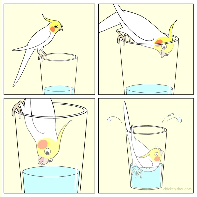 #birb 