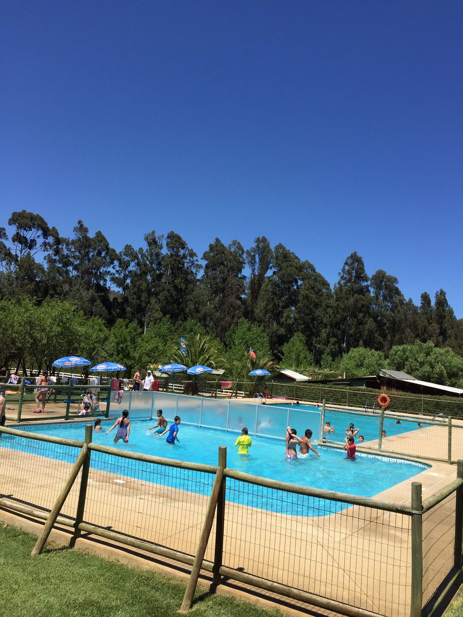 BosqueLos's tweet photo. #piscinAs https://t.co/RwG71btOK4