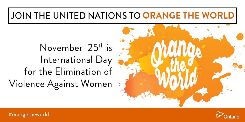 November 25th is International Day for the Elimination of Violence Against Women