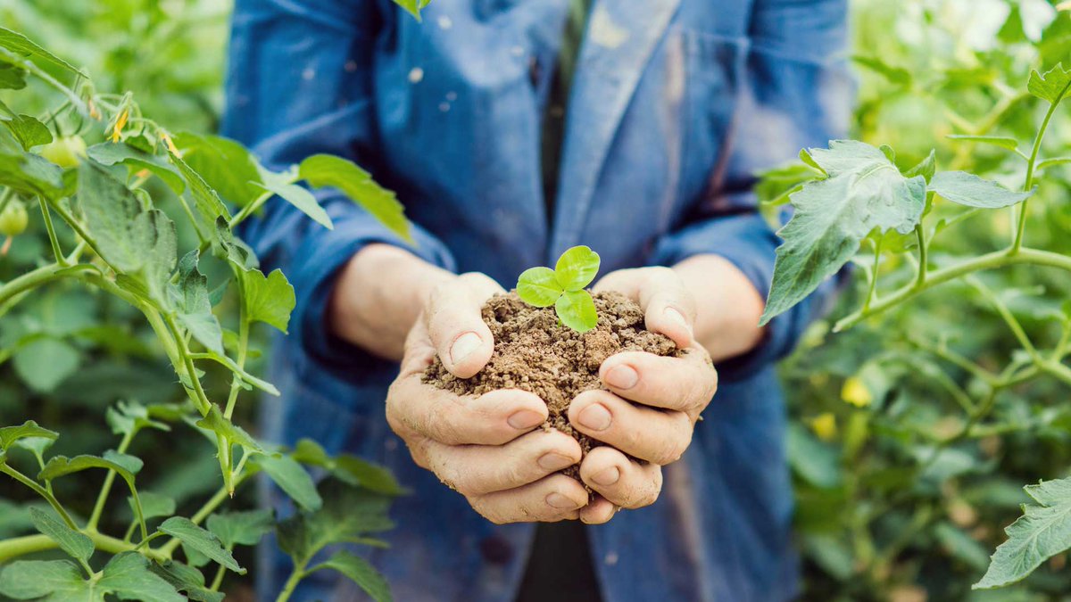 parakazanmaca.net/ipard-hibe-des… #parakazanma #ekis #isfikirleri (IPARD Hibe Desteği Nedir?) #internettenparakazanma