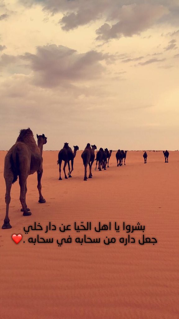 mn004784's tweet photo. بشروا يا اهل الحّيا عن دار خلي
جعل داره من سحابه في سحابه .

#سنابيه https://t.co/Gb6xtbhEOn