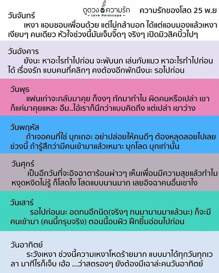 ——— tweet media