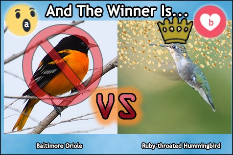 BritHikesON's tweet photo. Results of the vote are in:
HUMMINGBIRD wins with 11 votes
ORIOLE is eliminated with 6 votes
Original vote: https://t.co/KGWWuNupqA
MISSED VOTING? No worries, the next round will be held on TUESDAY.
#birdvote #birds #birdphotography #brithikesontario https://t.co/QfxNvtUTEK