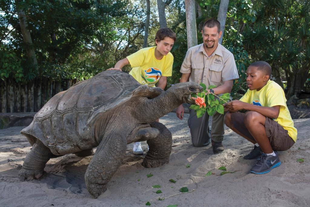 Busch Gardens Tampa Bay On Twitter 2019 Resident Day Camps Are