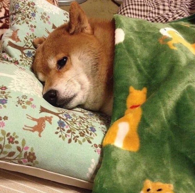 marinaroxxx's tweet photo. yo cuando tengo que investigar al rollete de mi amiga/yo cuando tengo que investigar en un trabajo de clase https://t.co/rneYjkCBsx