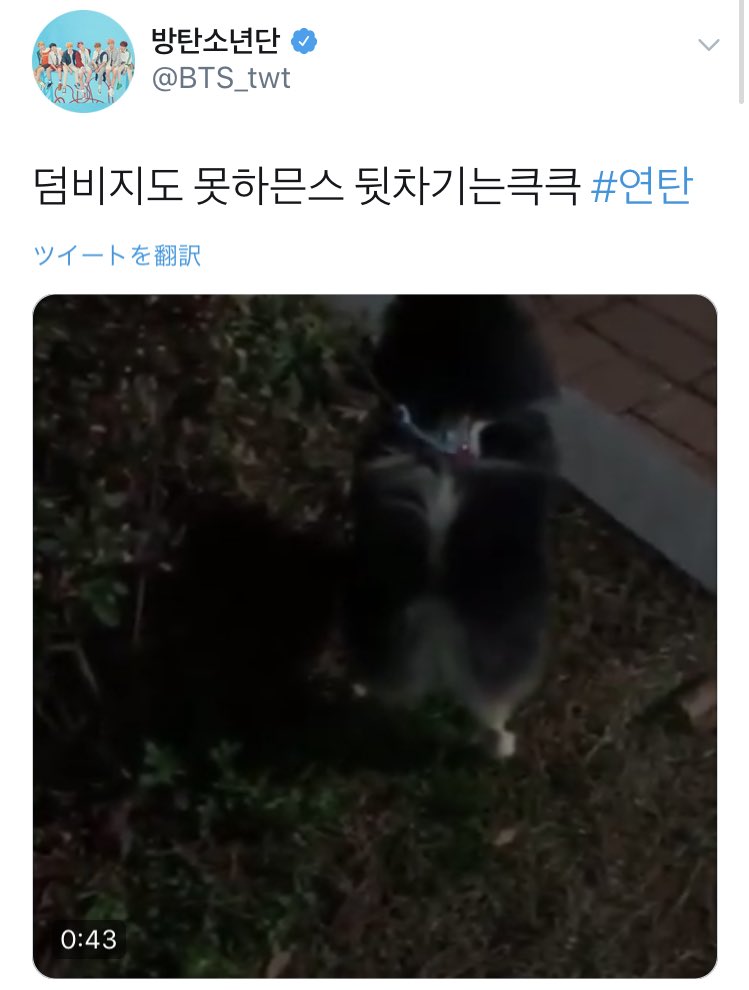 bts_mksg's tweet photo. 帰国してすぐ
しばらく会えてなかったペットに母性溢れまくりの世界の防弾可愛いな
定期的に始まるペット自慢可愛いな https://t.co/dBdhGDHBzo