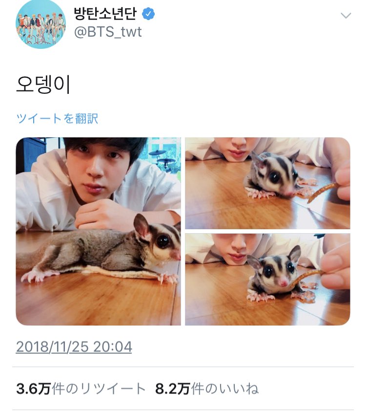 bts_mksg's tweet photo. 帰国してすぐ
しばらく会えてなかったペットに母性溢れまくりの世界の防弾可愛いな
定期的に始まるペット自慢可愛いな https://t.co/dBdhGDHBzo