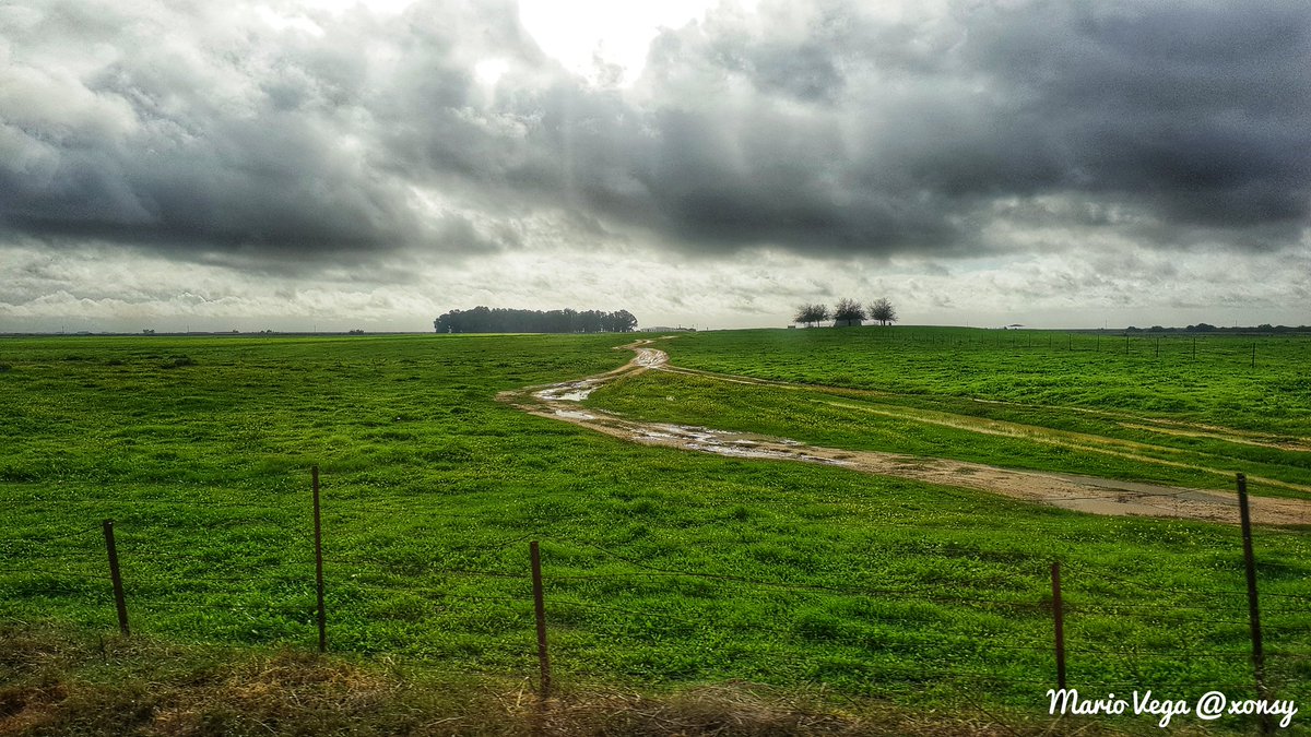 Paisajes impresionantes! Nos espera un gran día #AunahoraESevilla #IslaMayor <a href="/AytodeIslaMayor/">Ayto de Isla Mayor</a> <a href="/bodegassalado/">Bodegas Salado</a> <a href="/RedGuadalinfo/">Vuela Guadalinfo</a> <a href="/Cruzcampo/">Cruzcampo #ConMuchoAcento</a>