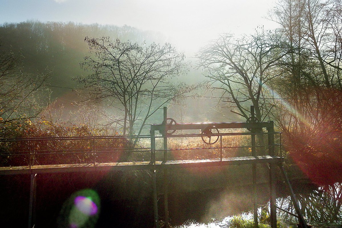 mossworld - annette tweet media