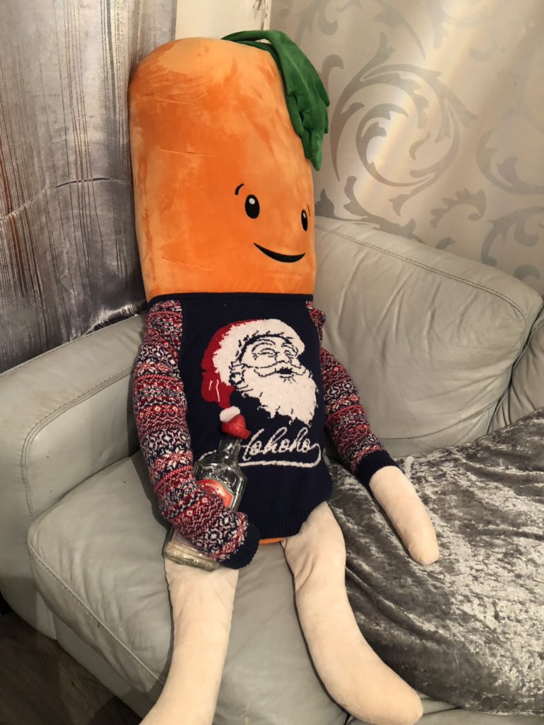 emmabayley83's tweet photo. @AldiUK just letting you know Kevin is loving his new home. He’s been to the pub the hairdressers and Tesco 😬. He’s a big fan of the bus 😁 https://t.co/aWR60KikOV