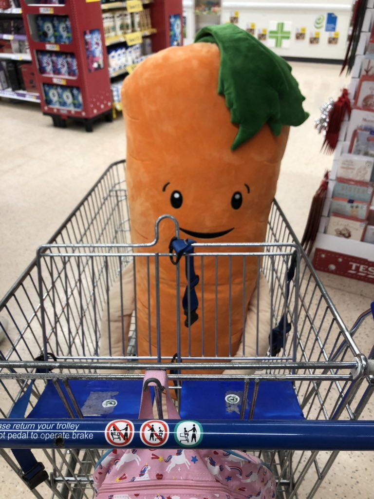 emmabayley83's tweet photo. @AldiUK just letting you know Kevin is loving his new home. He’s been to the pub the hairdressers and Tesco 😬. He’s a big fan of the bus 😁 https://t.co/aWR60KikOV