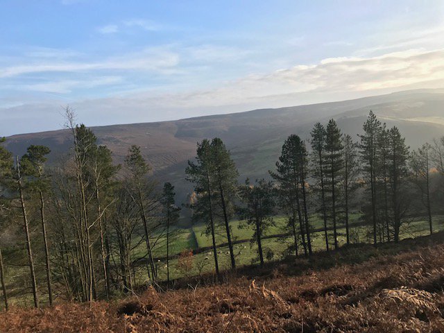 conservationsoc's tweet photo. A great day of clearing bracken and brambles yesterday overlooking a beautiful valley in the peaks! Thank you to all our hardworking volunteers!🍁⛰🍂 https://t.co/DCaS6hwGw8