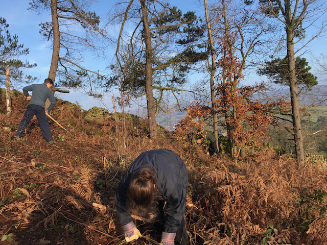 conservationsoc's tweet photo. A great day of clearing bracken and brambles yesterday overlooking a beautiful valley in the peaks! Thank you to all our hardworking volunteers!🍁⛰🍂 https://t.co/DCaS6hwGw8