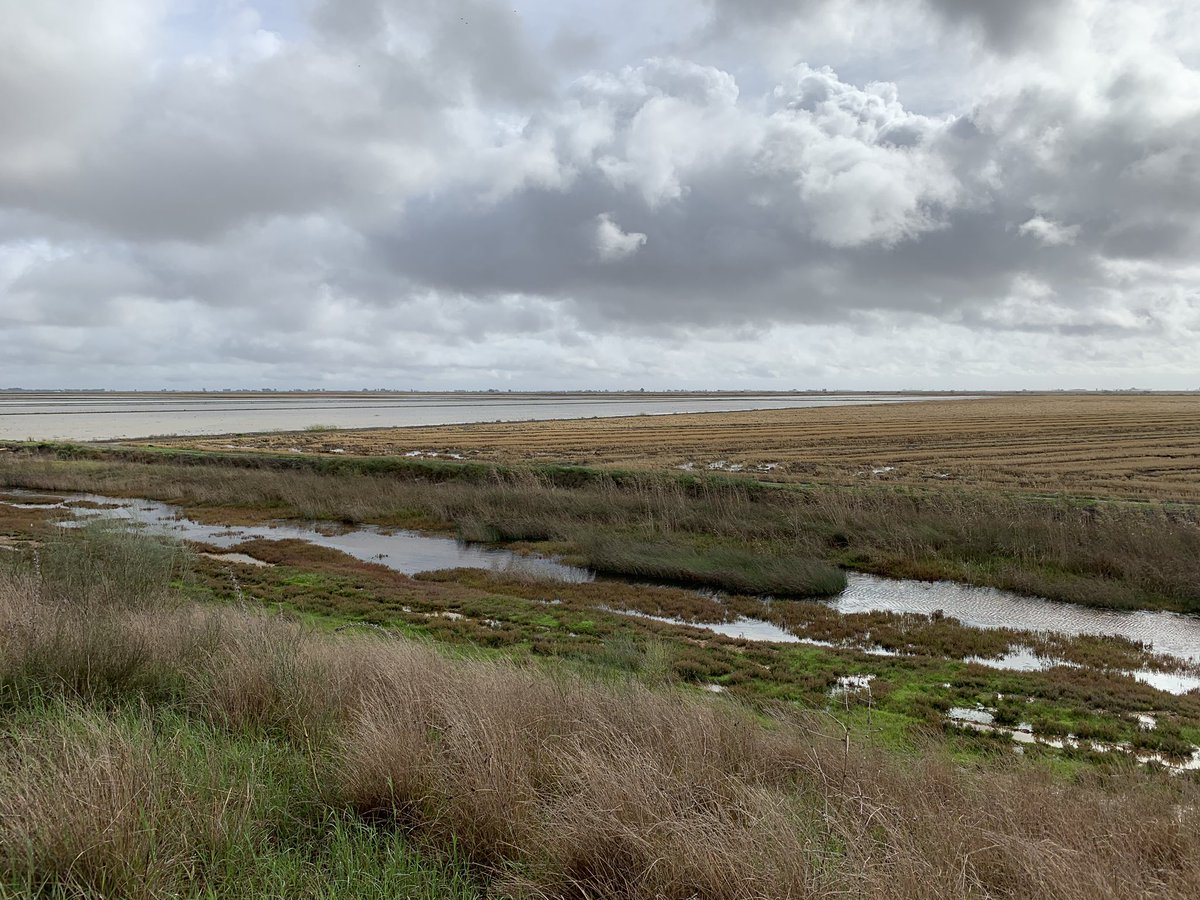 Alma Alanís tweet media