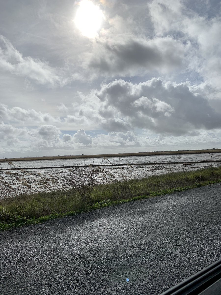 Alma Alanís tweet media