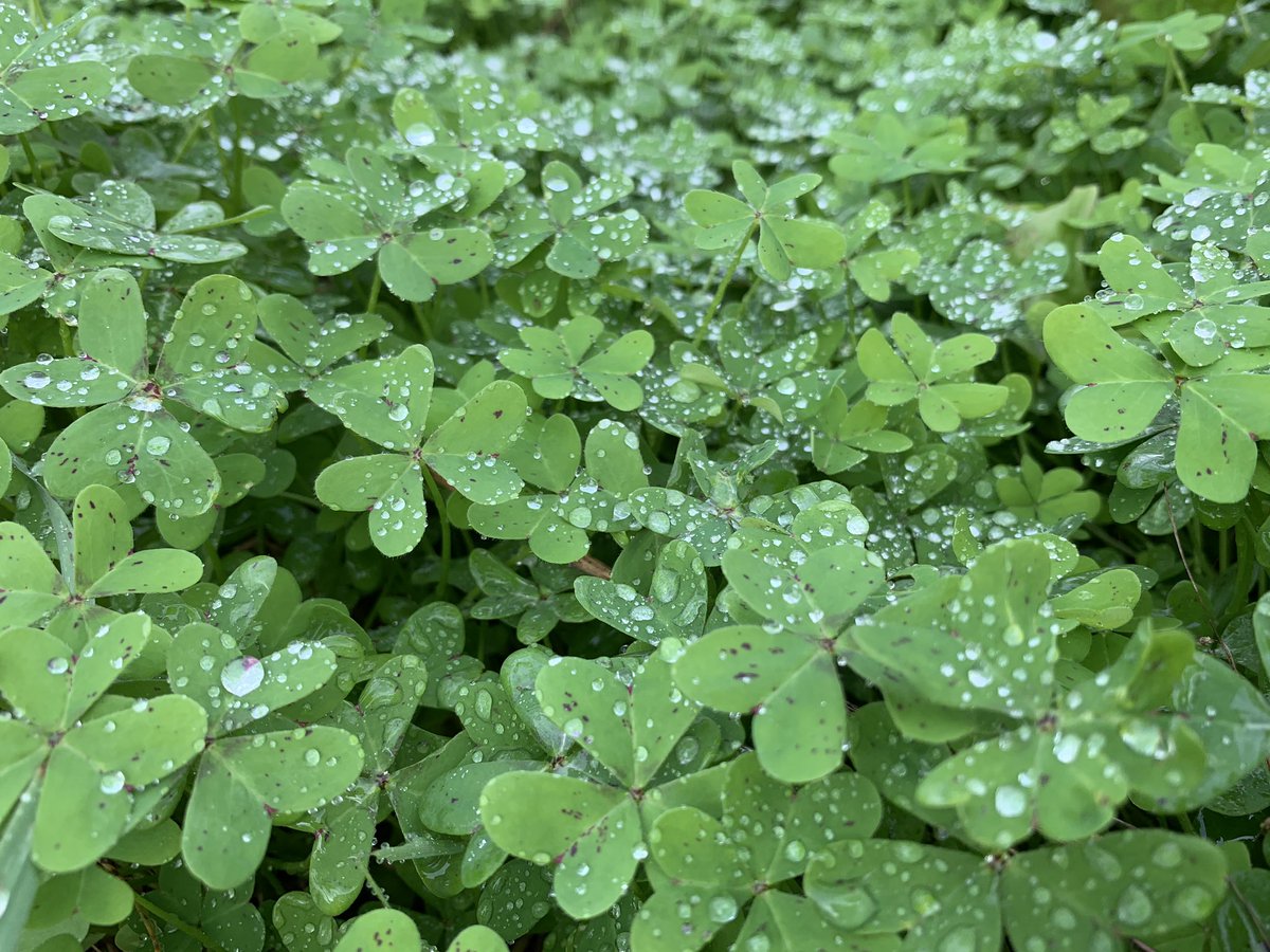 Paisajazos! #IslaMayor <a href="/AytodeIslaMayor/">Ayto de Isla Mayor</a> #AunahoraESevilla  <a href="/bodegassalado/">Bodegas Salado</a> <a href="/RedGuadalinfo/">Vuela Guadalinfo</a>

<a href="/Cruzcampo/">Cruzcampo #ConMuchoAcento</a> <a href="/tysaford/">TYSA Ford</a> @PeugeotCalonge <a href="/psaretail/">PSA Retail</a> <a href="/SyrsaAutomocion/">Syrsa Automoción</a> @abadeshotele