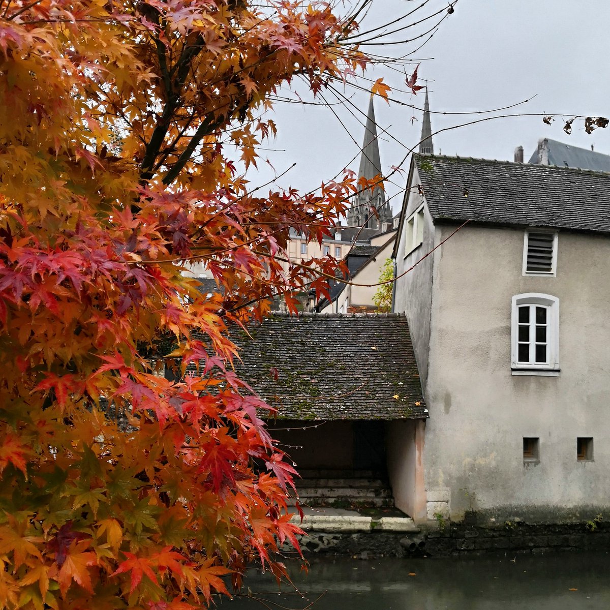 VisitesChartres's tweet photo. Un peu de couleur un jour de pluie. #automne #chartres #picoftheday #visitfrance #visitlafrance #cathedrale #cathédraledechartres #chartrescathedral #chartrexperience #decouvrirchartres #chartresdécouverte https://t.co/L0NsP8qpDw