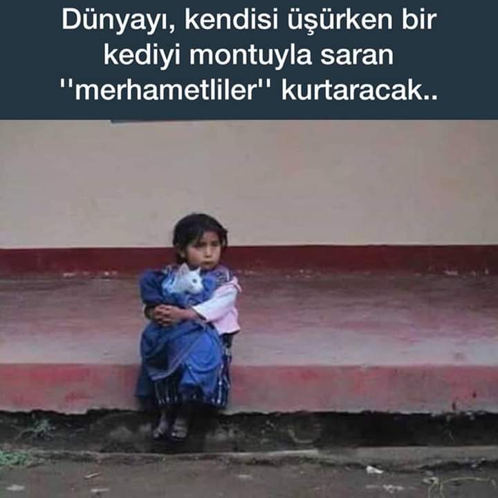 mancar_mustafa's tweet photo. https://t.co/ekQl0ZoyJt