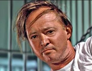 November, the 25th. Born on this day (1947) TRACEY WALTER. Happy birthday!!  
