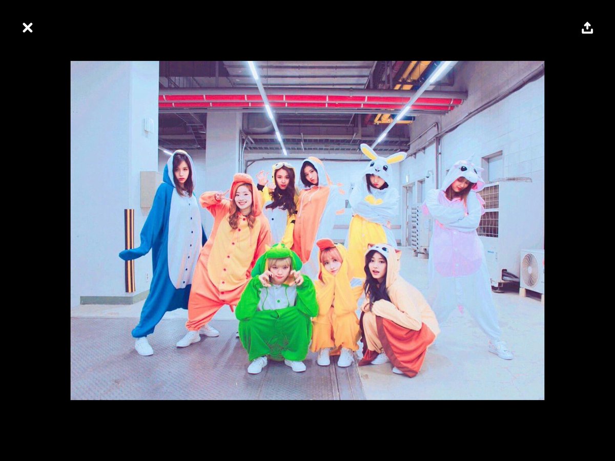 Twice着ぐるみ Twice着ぐるみ