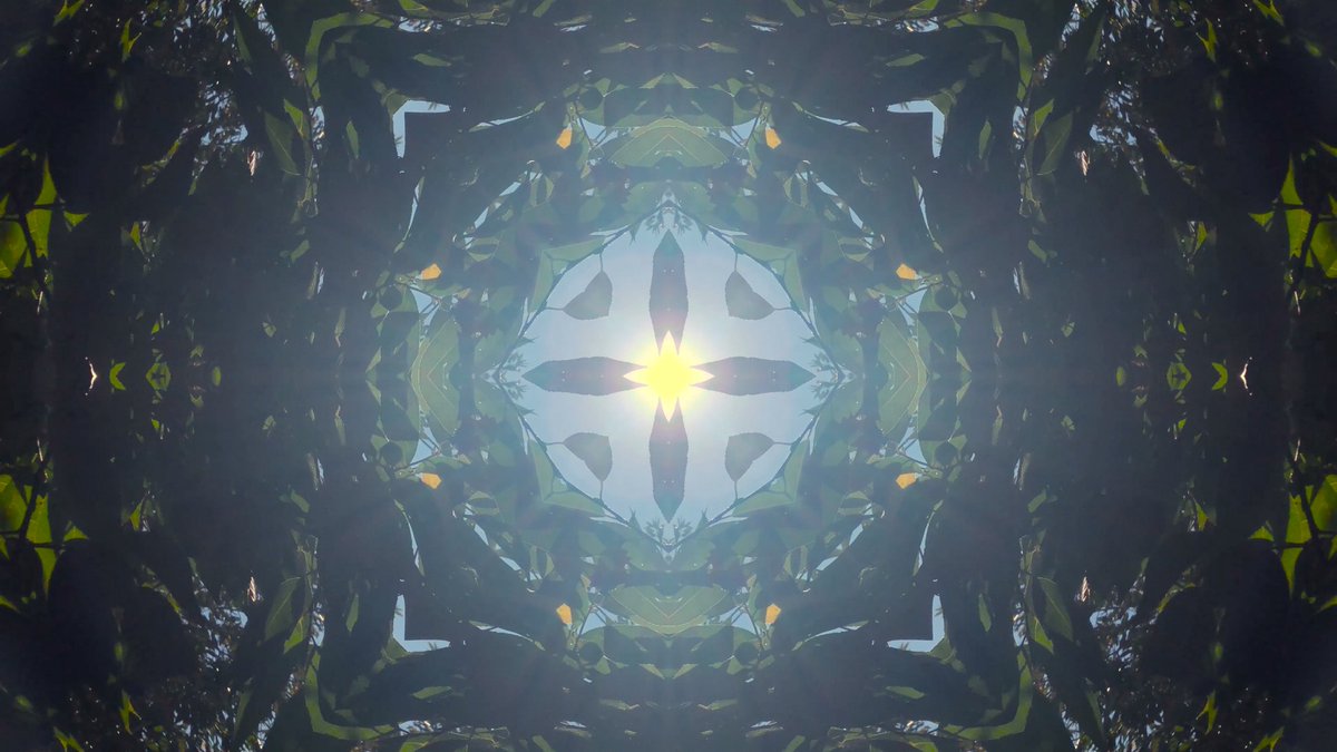 Dokkodo Sounds tweet media