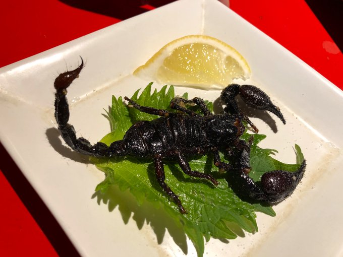 金玉のtwitterイラスト検索結果 古い順