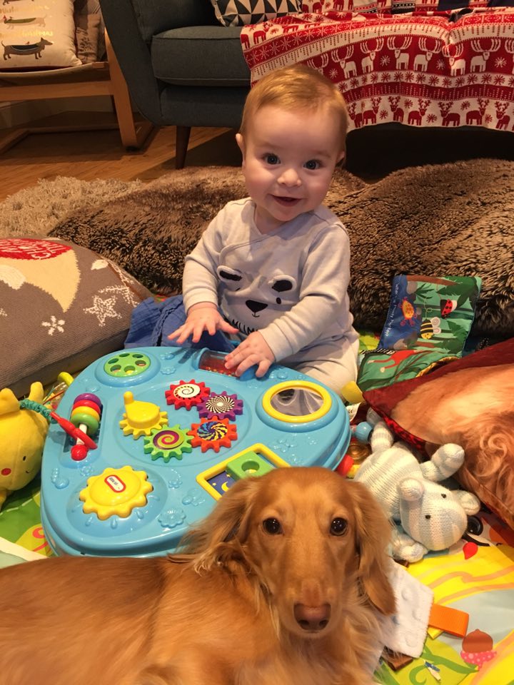 The 2 reasons I get nothing done! 😍