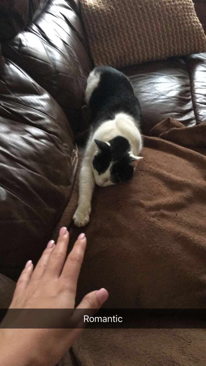 elliebek's tweet image. #september2016