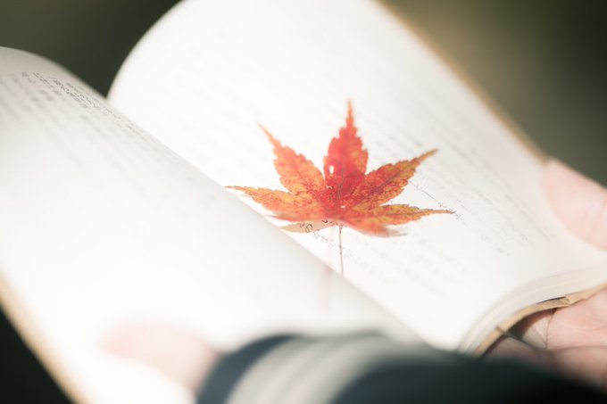 Twitterのコスプレ画像8