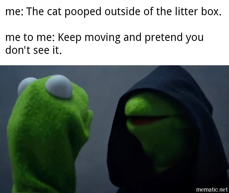 WattsInAMeme's tweet photo. #allmemesareourown #memebymrswatts #wattsoriginal #youhadonejob #wattsinameme #crappydays  #catcrapfever #itsallaboutyou #toolazytocare https://t.co/oAPF8My63k