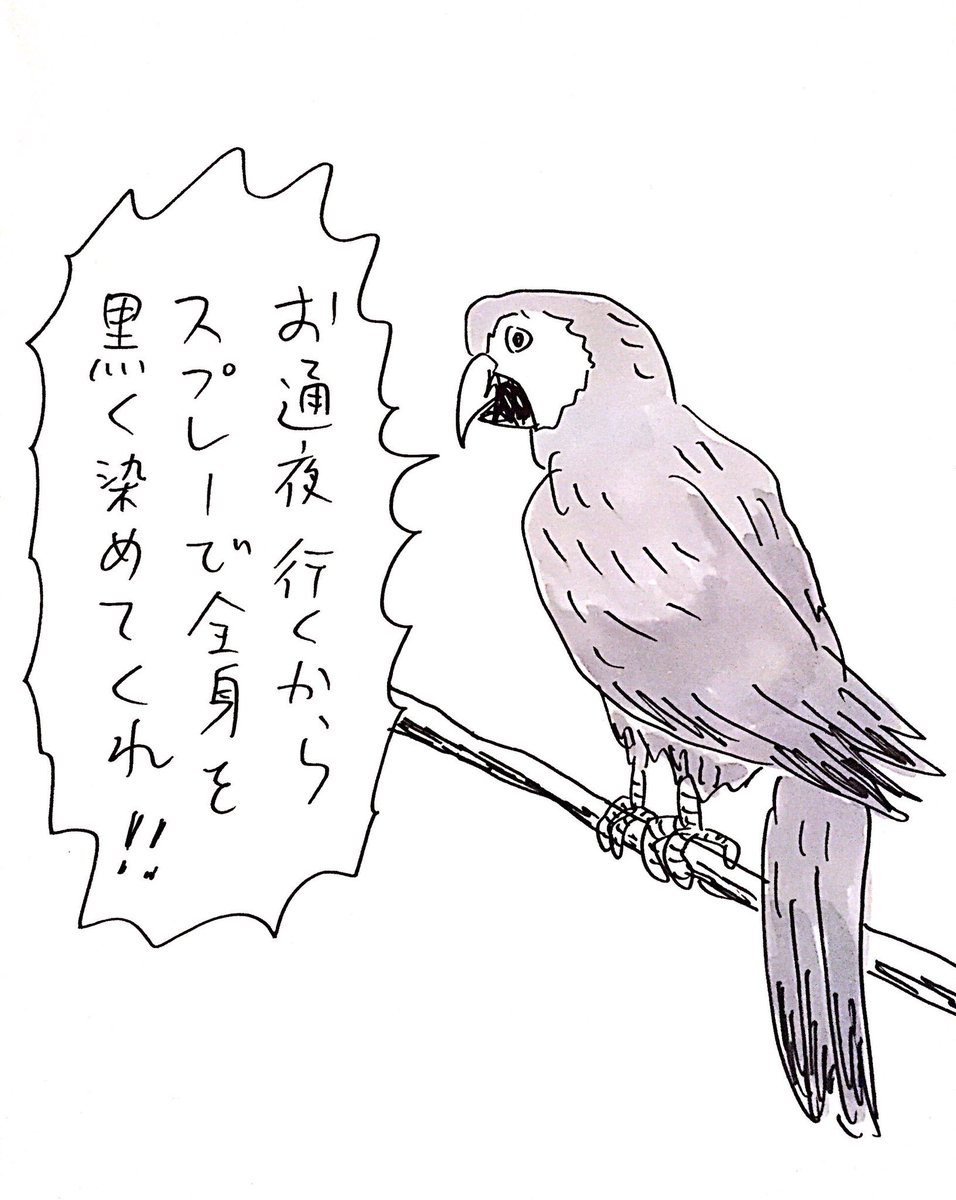 カラフルなオウムの悩み
#おほまんが 