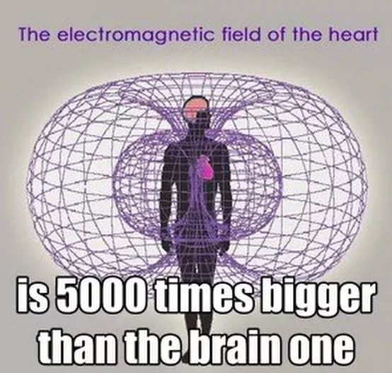 The electroMagnetic field of the HEART is 5000 times BIGGER then the BRAIN.