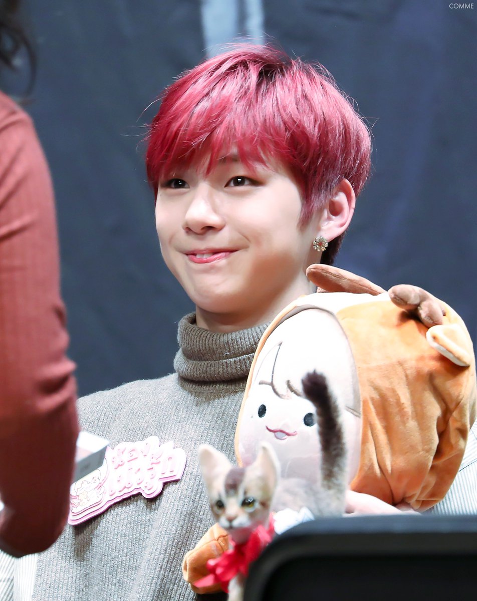 comme_961210's tweet photo. 181124
인형 앞니 따라하는 딴니
징차.. 넘 귀엽자나😭😭

#강다니엘 #kangdaniel https://t.co/pDI82l7UCb