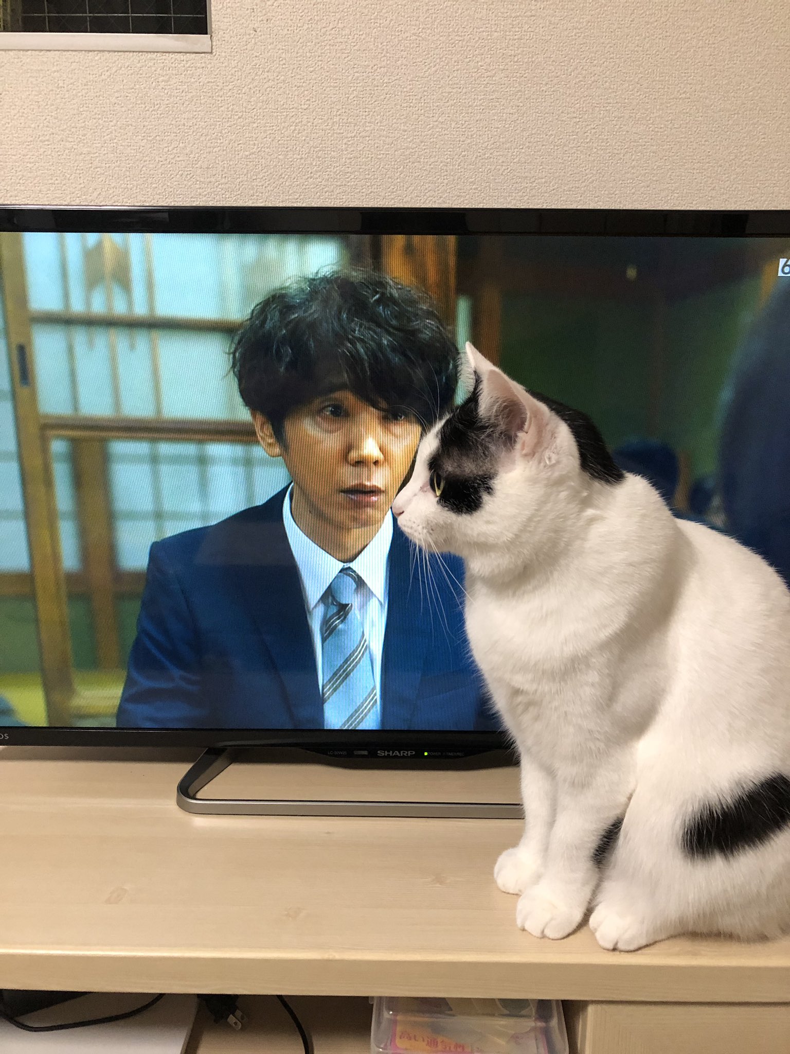 警部補 碓氷弘一 Twitter Search Twitter
